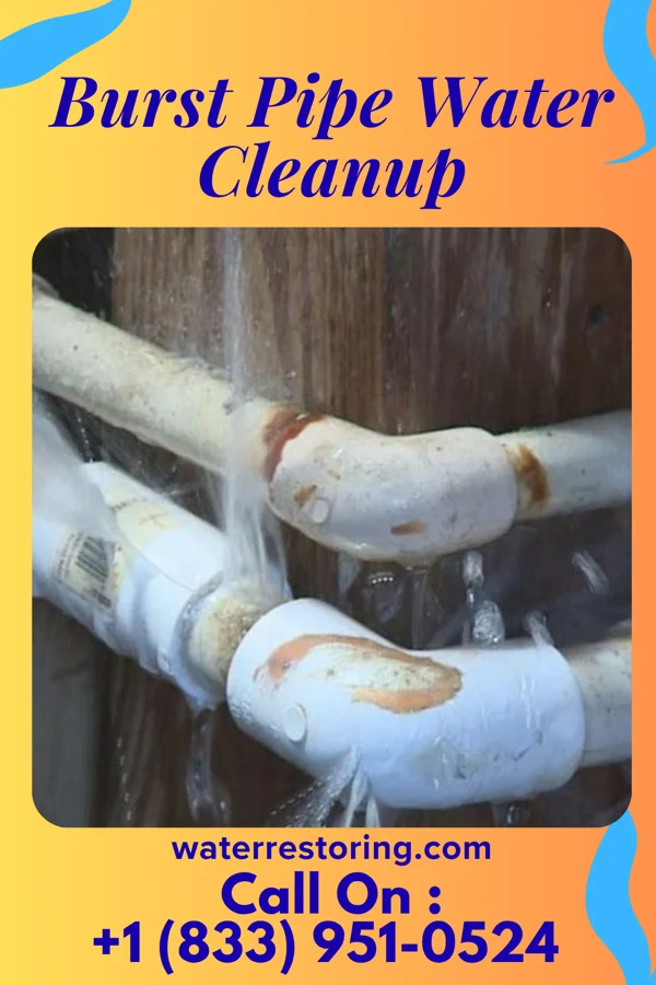 Burst Pipe Water Cleanup in Grayville, IL
