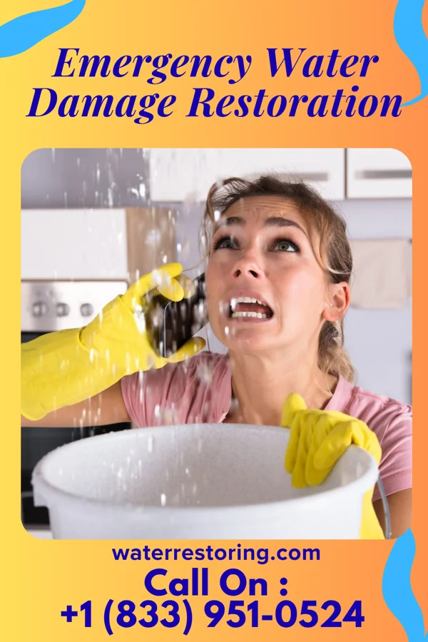 Emergency Water Damage Restoration in Grayville, IL