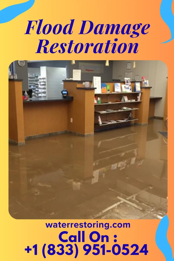 Flood Damage Restoration in Grayville, IL