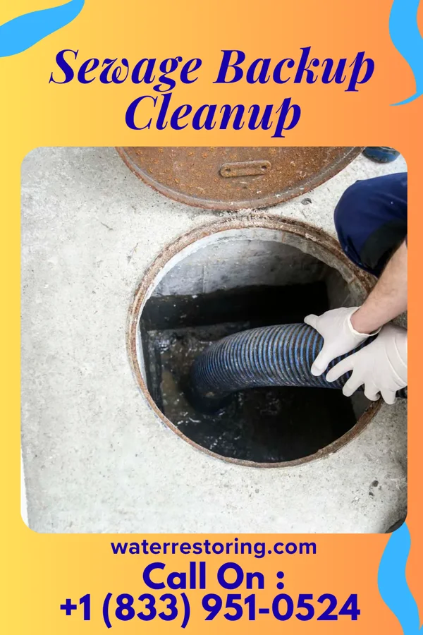 Sewage Backup Cleanup in Grayville, IL