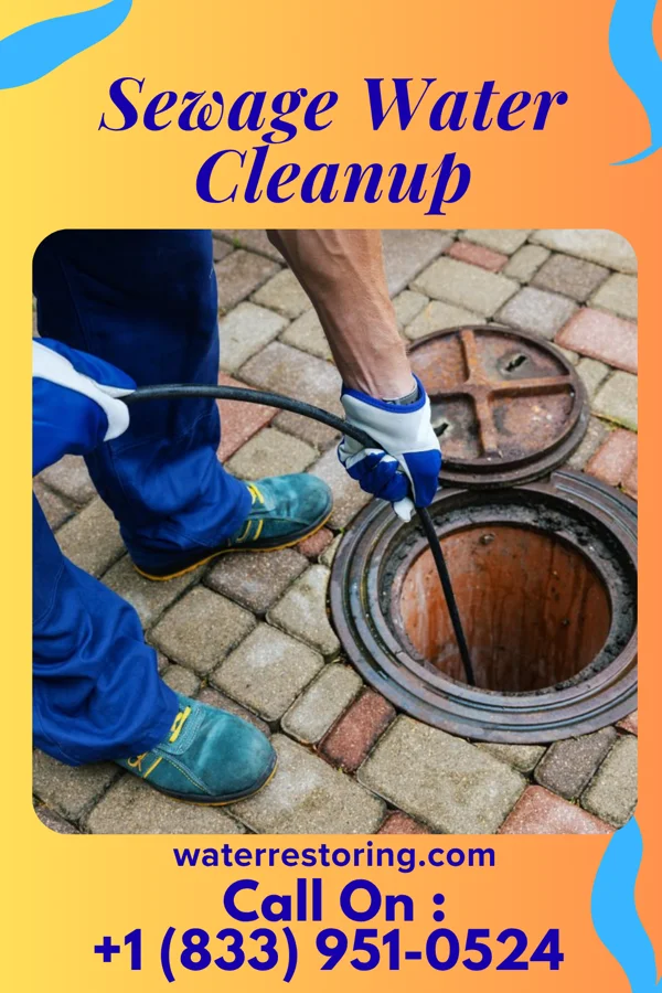 Sewage Water Cleanup in Grayville, IL