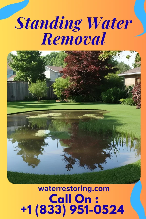 Standing Water Removal in Grayville, IL